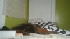 Capture at 2025-10-15 07:49:08