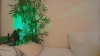 queenxxx0 @queenxxx0 webcam capture — Ample, Brown hair, Green eyes, Other, 37 yrs, Bisexual — tags: bigboobs, naturaltits, bigass, hugetits, bbw, toys, live orgasm, skype, milf, natural, cam2cam, naturalboobs, sexy, horny, blond, dildos, lush, cam2cam, mature, curvy, chubby, feet, bigpussylips, dildo, pussy, tits, legs, ass, naughty, cumming, masturbation, private
