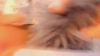 Capture at 2025-10-14 05:16:24