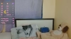 Capture at 2025-10-16 00:41:52