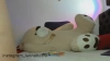 Capture at 2025-10-15 03:49:26
