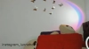 Capture at 2025-10-15 04:10:26