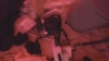 Capture at 2025-10-14 01:45:52