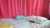 Capture at 2025-10-14 23:50:56