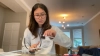 violishh @violishh webcam capture — Slim/Petite, Brown hair, Brown eyes, Asian, 29 yrs, Straight — tags: mean, asian, athletic, gamer, nonnude, twitch, abs, armpits, f1, discord, shots, amateur, chill, bitchy, feet, runescape, petite, small boobs, femdom, drinking, genuine, A cup, honest, natural, heels, glasses, latex, nylons, sensual, findom, cameltoe, hairy armpits
