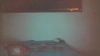 Capture at 2025-10-16 04:12:25