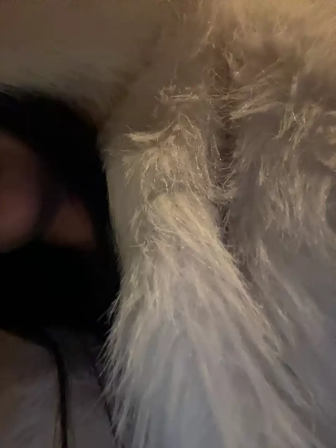 sweetkira25